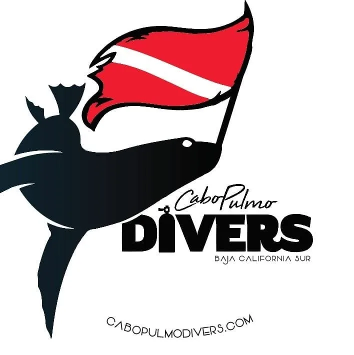 Cabo Pulmo Divers